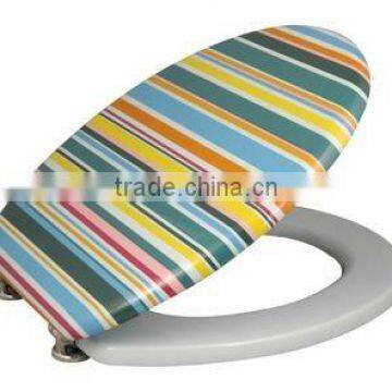 Toilet Seat Printing Item