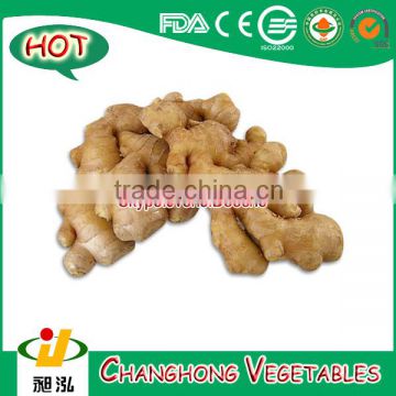 2015 fresh ginger with lowest price 10kg/mesh bag