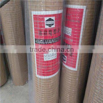 come on - Hebei YUHAI supply Hot dipped galvanized /PVC coated Window screen and square wire mesh