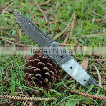 Custom Stainless Steel Folding Resin Knife