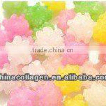 Low Melting Point Fish Gelatin for Confectionery