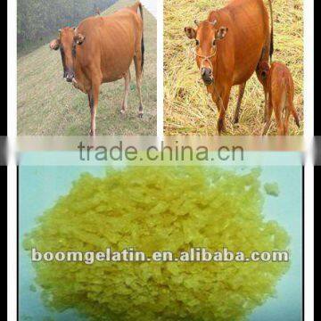 High Quality Industrial Beef Glue Gelatin