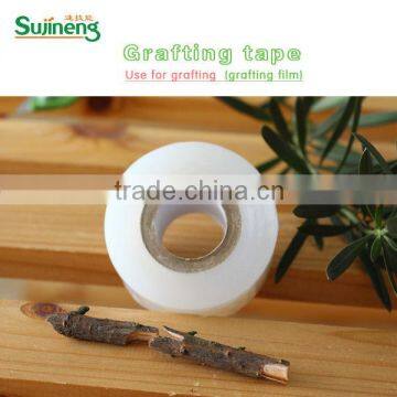 grafting tape / film of grafting tool