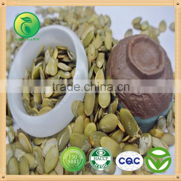 Cheap Snow White Pumpkin Kernel high quality good merchandable factory price