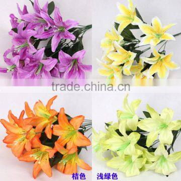 New Most Popular Names of Lily Used for Decoration