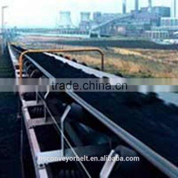 Nylon Conveyor Belt for Conveying Wood Bark photo-6