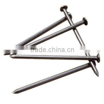 Common Wire Nail