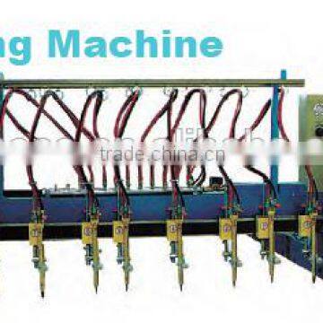 ALMACO Multi-head strip Cutting Machine