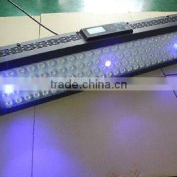 240W Led Aquarium Light Bridgelux Led Aquarium Light Fixture Coral Reef IT2080