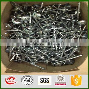 electro galvanized 2.5 inch screw shank twisted roofing nail