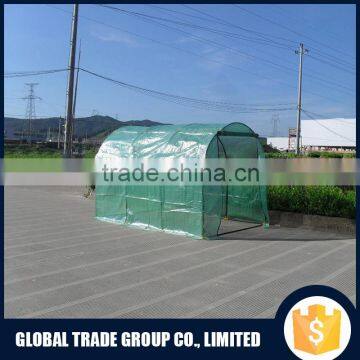 Tunnel Greenhouse With Steel Pole And PE 551558