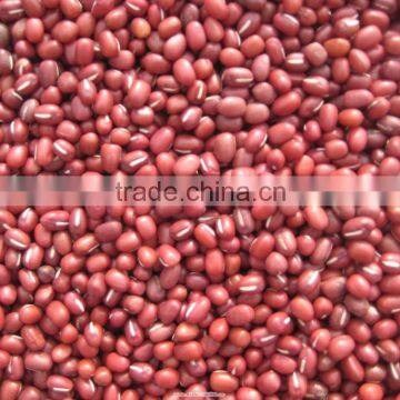 we are supply Small red beans with best price for sale