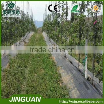 2*10m Black Agricultural pp Weed Control Mat,PP Woven Fabrics, Ground Tarp Cover, Weed Mat photo-3