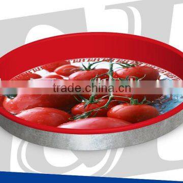 First Grade Tinplate Plateau gardening tray Fruit Tray