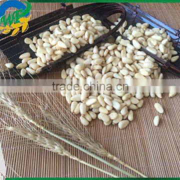 2015 Top Quality Pine Nut Kernels for Sales photo-3