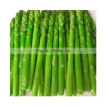 Many Type Canned Green Asparagus in Jar