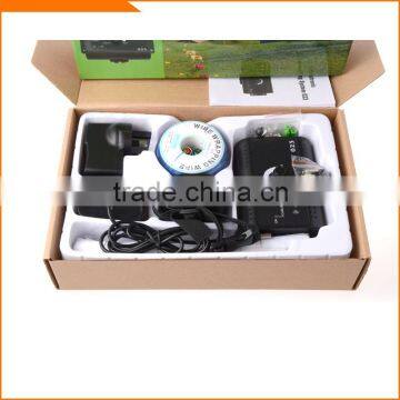 Dog in Ground Pet Fencing System photo-6