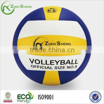 Sporting Goods Volleyball