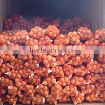 China Onion at Good Price of per Ton
