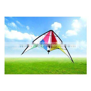 Dual Line Delta Stunt Kites - Curved Edge Kites