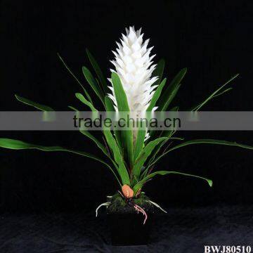 Hot Sale Cheap Wholesale Artificial Tropical Flowers