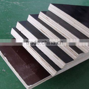 18*1220*2440 building template /plywood