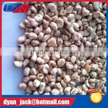 DYAN polishing of glass media corncob abrasive