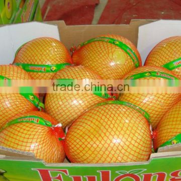 Market Price for Sweet Fresh Chinese Pomelo