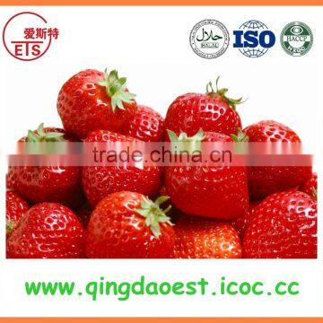For Sale Bulk Fresh Strawberry