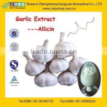 GMP Certified Manufacturer Supply Pure Garlic Extract