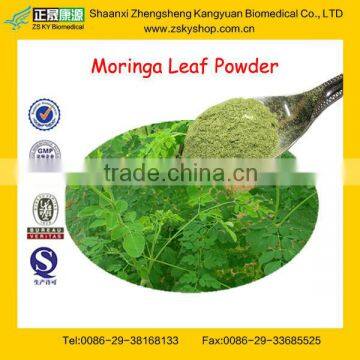GMP Certified Wholesale Moringa Tree Leaf Powder Suppliers