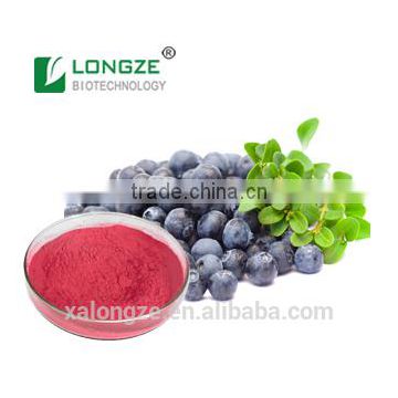 Europe Blueberry Fruit Powder Extract