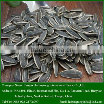 2015 New Crop Sunflower Seeds for Good Quality