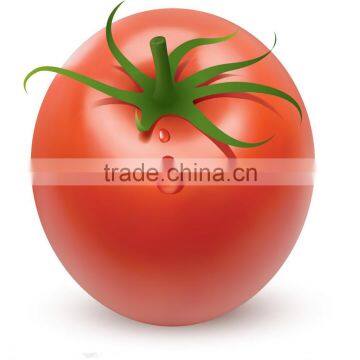 best price top level pink vegetable seeds tomato seeds to sale