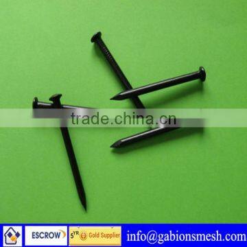 China professional factory,high quality,low price, black nails