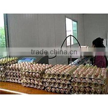 Best Selling Eggs Inkjet Code Printers/egg Coding Printer/inkjet Printers for Egg photo-2