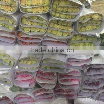 2016 Kunming Fresh Cut Flowers Fresh Cut Roses Wholesale Price photo-5