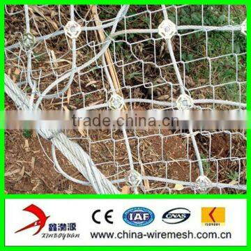 SNS flexible netting/Rockfall netting for slope protection