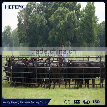 Hot dip galvanized Steel Livestock Panels cattle fence panel widely used in Australia