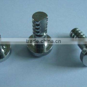 Special Stainless Steel Screw Hardware Products