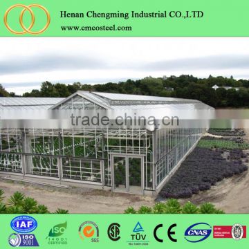 Cheap polycarbonate agricultural greenhouse , low cost tunnel plastic greenhouse for sale