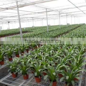 Factory price raised garden seed beds of planter pots