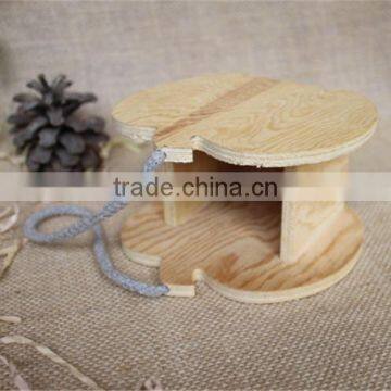 Unique Design Apple Shaped Personalized Pine Wooden Pen Holder photo-3