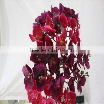SJ20170048 China Wholesale Factory Price Silk Dance Orchid for Indoor Decoration Cheap Silk Dance Orchid photo-2
