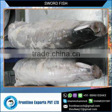 Best Quality Certified Frozen Swordfish Supplier