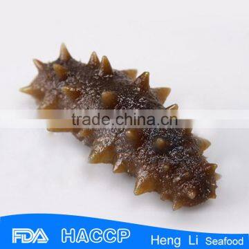 HL011 Frozen Sea Cucumber for export vacumm package