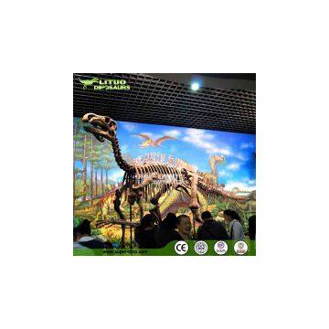 Science Educationa Equipment Fiberglass Dinosaur Fossil Replica