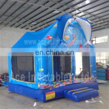 giant inflatable dolphin bouncer