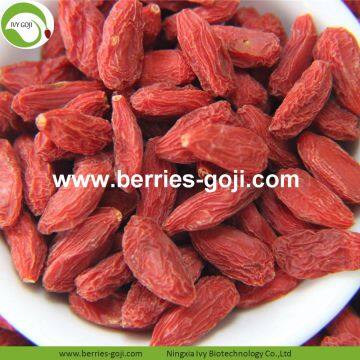 Factory Supply Nutrition Dried Organic Goji