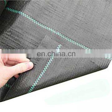 Garden Biodegradable Polypropylene Fabric Weed Control Cover